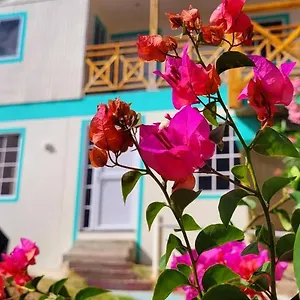 Colorful Garden House Bed & Breakfast